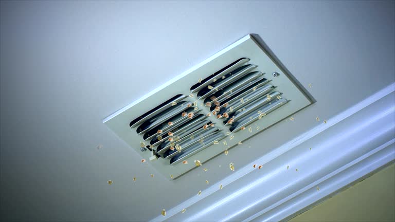 Professional Airduct Cleaning in Ferndale, MD