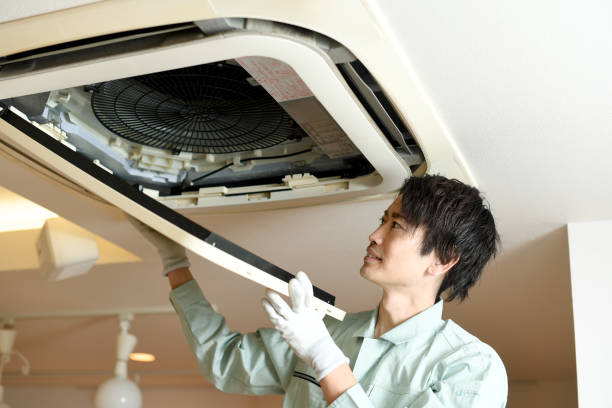 Best Professional Duct Cleaning Services  in Ferndale, MD
