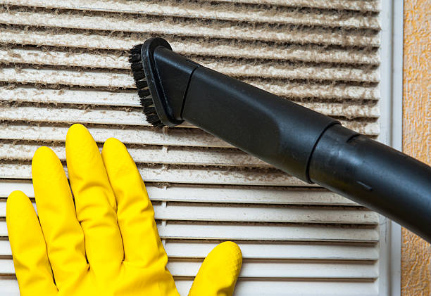 Best Affordable Air Duct Cleaning  in Ferndale, MD